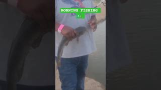 Top fishing video #shorts #subscribe #fishing #fish #usa #viral #india #youtubeshorts #love #funny