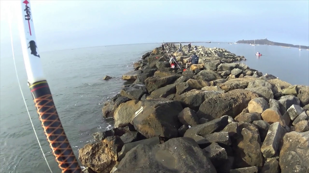 Pillar Point Jetty Crab Snaring YouTube
