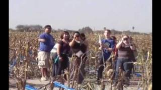 donna corn Maze.wmv