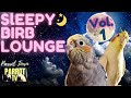 Sleepy birb lounge vol 1 calm piano music for birds  parrot music tv for your bird room