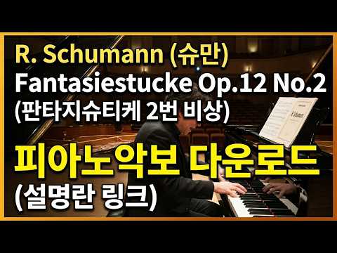 Fantasiestucke Op.12 No.2 (판타지슈티케 2번 비상) (원곡 버전) - R. Schumann (슈만)