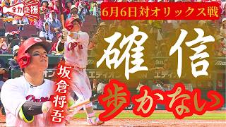 【『確信』歩かないHR】坂倉将吾が完ぺきな7号HR🔥持丸泰輝も追い込まれながら技ありの4号HR！【球団認定】カープ全力応援チャンネル