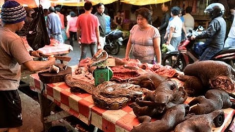 Berani Masuk Dalam Pasar ini, Berarti Nyali-Mu Besar!! Ternyata isi Dalamnya.. Astaga!!