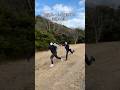 交通ルールを順守する泥棒と刑事 #shorts