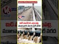 Heavy Flood Water Inflow To Mid Manair Dam | Rajanna Sircilla | V6 News