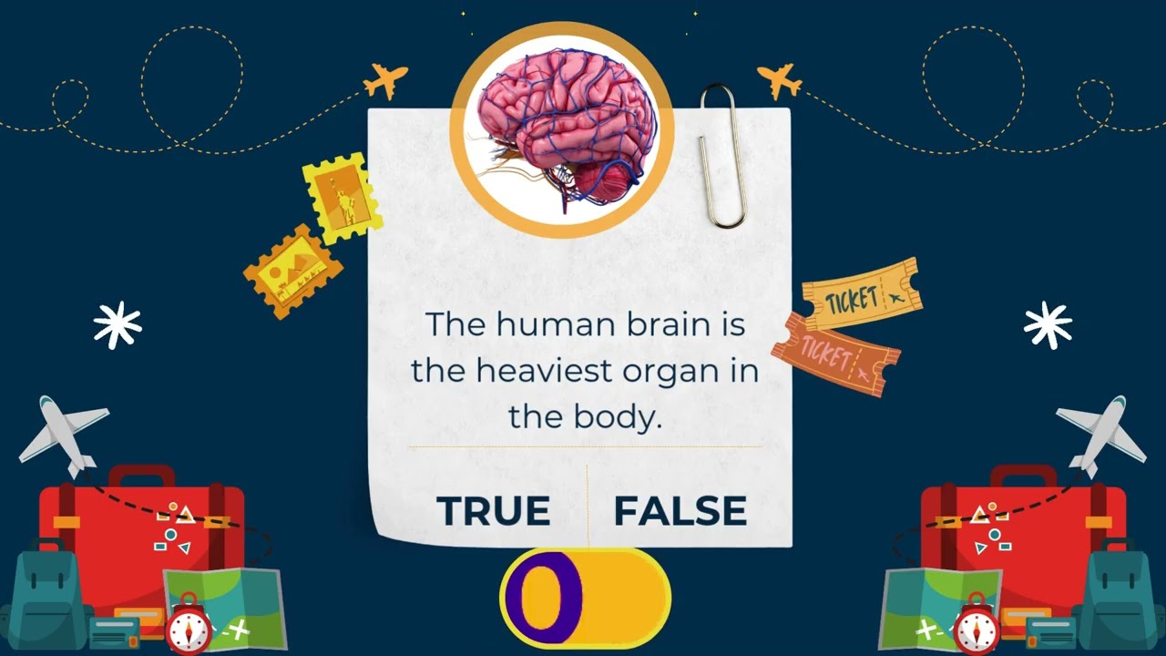 50 True or False Quiz Questions | Test Your General Knowledge!