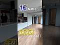【札幌賃貸】1Kとは思えない快適空間!? #札幌賃貸　#北海道　#ルームツアー