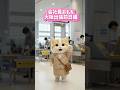 会社員おもち〜大阪出張前日編 #cat #猫 #aicat #ai猫 #cute #animation #cutecat