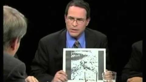 Charlie Rose, details of visual abstracting