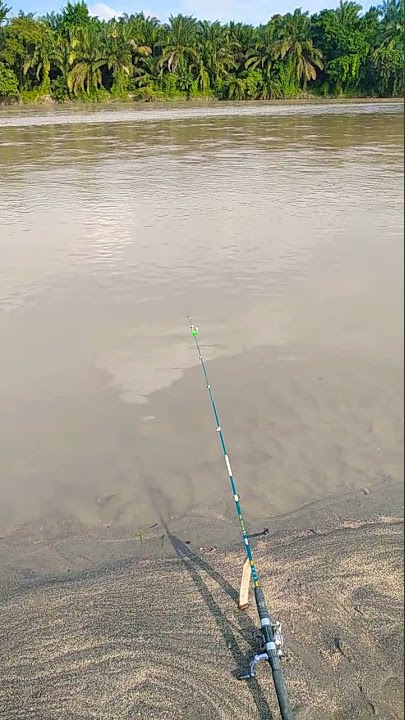 Mancing Disungai Bahbolon Perdagangan. Part 4 #shorts