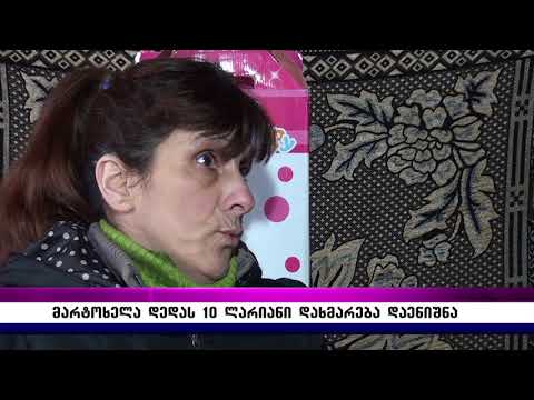 მარტოხელა დედას 10 ლარიანი დახმარება დაენიშნა