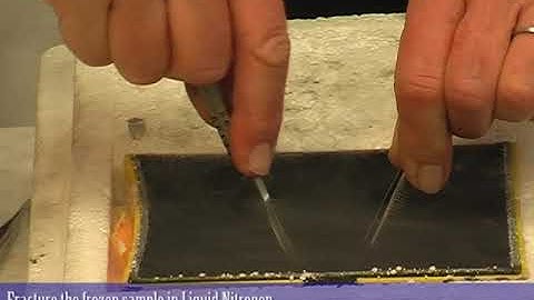 CryoSEM: Preparing a cross section from a fresh sample