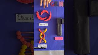 Model on Gene Editing for Sickle Cell Anaemia