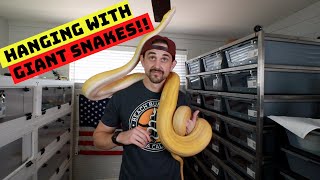 The Most Friendly Reticulated Python!