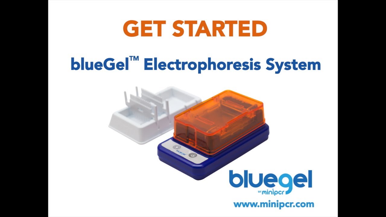getting started with the bluegel electrophoresis and visualization system from minipcr bio