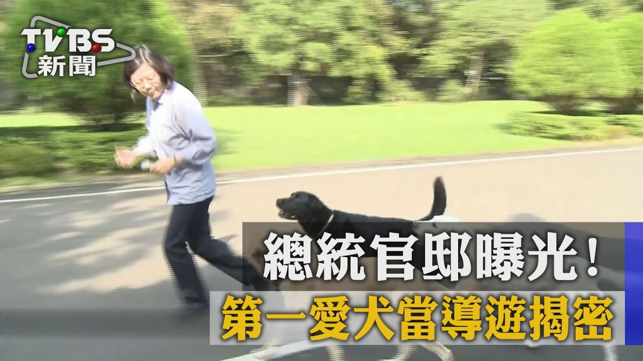總統官邸曝光！ 第一愛犬當導遊揭密│TVBS新聞網