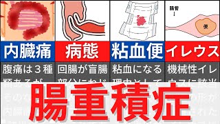 【10分で解説、12分で国試問題】腸重積症について解説