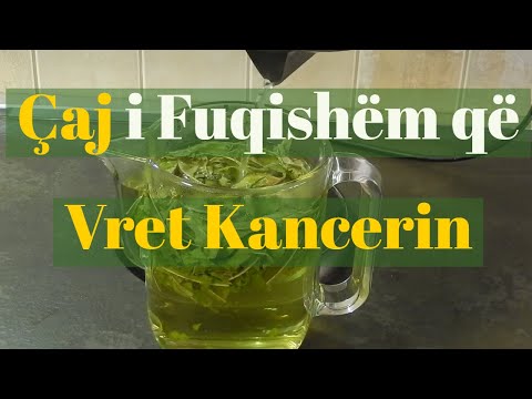 Video: A Ia Vlen Shërimi Ilaçi Për Kancerin