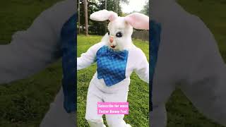 Easter Bunny Mascot