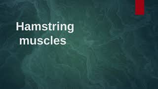 Hamstring muscles | Origin | Insertion | Nerve supply | Artery | Action #hamstrings Hamstring Muscle Anatomy Origin Insertion Function