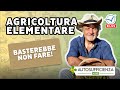 Agricoltura Elementare: la realizzazione più avanzata del "non-fare"| Gian Carlo Cappello