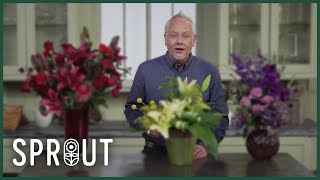 How Flower Colors Reveal Personality and Boost Your Mood