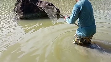 Best Fishing Video Amazing🦀Tutorial Mancing kepiting