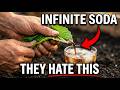Infinite Soda, 15 Minutes of Effort — The $0 Plant They Prayed You'd Never Grow