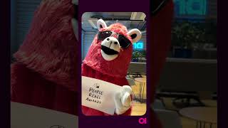 Ataccama - People Rebel Awards Video, Vote for our Llama