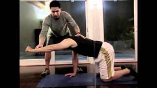 Core Stability Vol. 2: Quadruped Arm Lift
