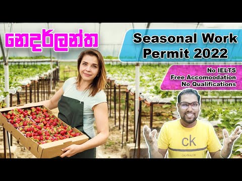 Netherland Seasonal Work Visa | Farm Workers Needed | No IELTS | No Experience | EU Jobs | SL TO UK