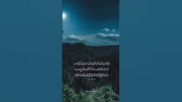 اسمعها بقلبك ❤️ تلاوة تهز المشاعر بصوت #ياسر_الدوسري 🌿 #سورة_الكرسي #قرآن_كريم #راحة_نفسية #quran