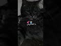 نتي ماتتعشريش 