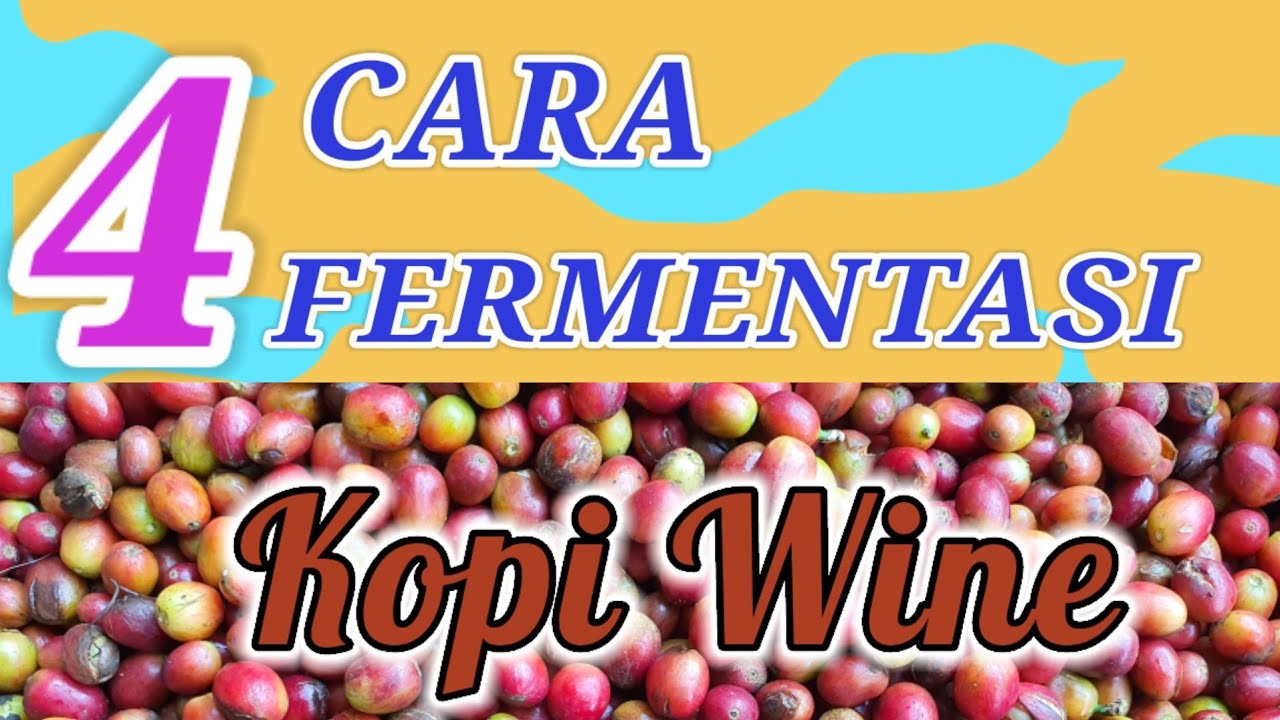 4 CARA FERMENTASI KOPI WINE