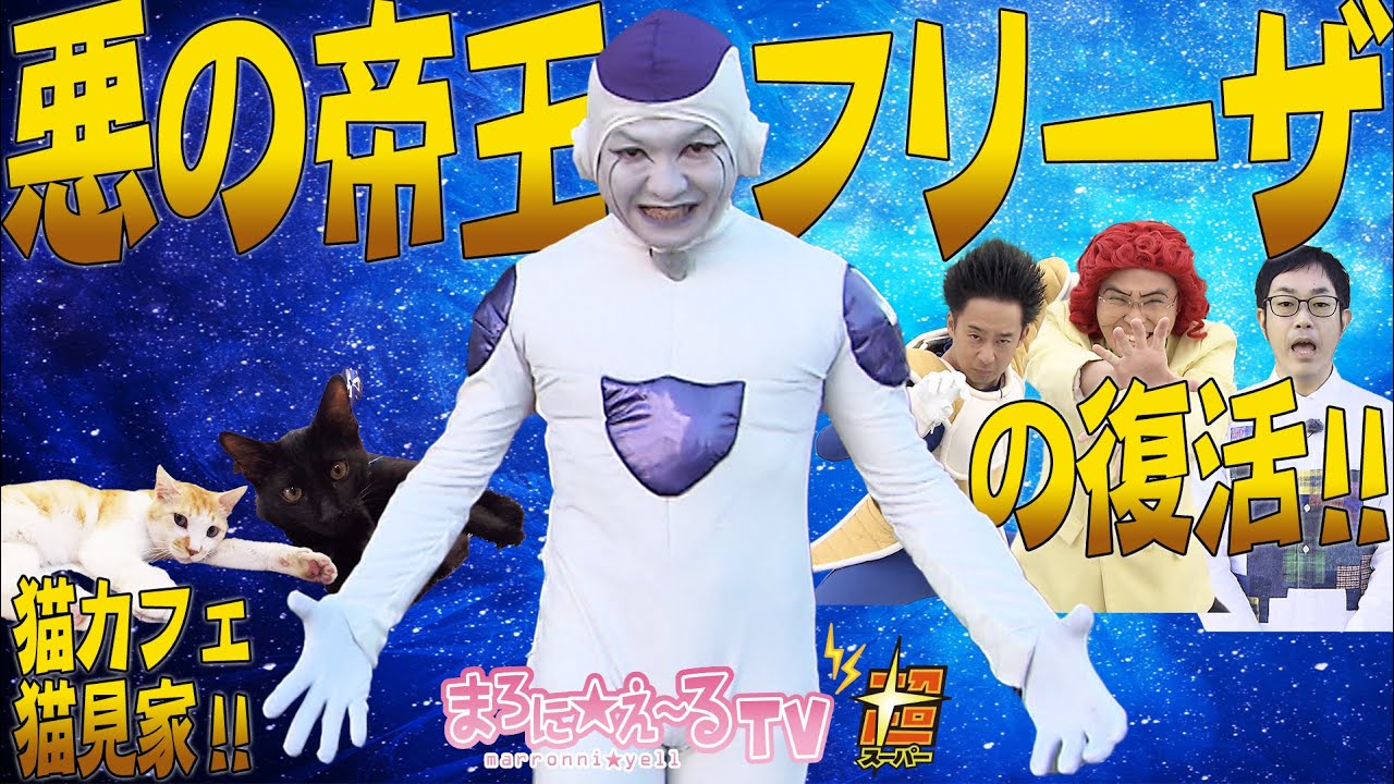 悪の帝王フリーザの復活！！猫カフェ猫見家！！　その１