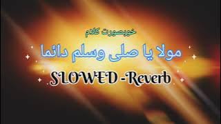 Maula Ya Salli Wa Sallim || Slowed Reverb with Lyrics || Best Naat clips