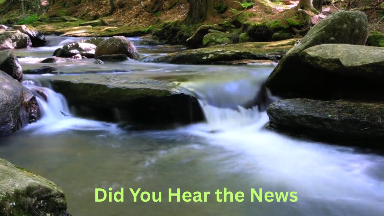 Did You Hear the News - Easy Listening