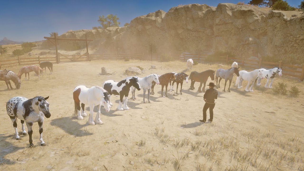 John Marston Showcases His Most Beautiful Tamed Horses | RDR2 Horse Collection