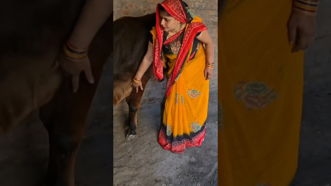 / Aesthetic 4. Sukoon Bhari Gaon Ki Zindagi 🌾 5. Desi Culture | Pure Village Lifestyle 6. 