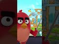 Great Escape How Did The Hatchlings Do That рџ ђ Shorts Great Escape How Did The Hatchlings Do That рџ ђ Shorts