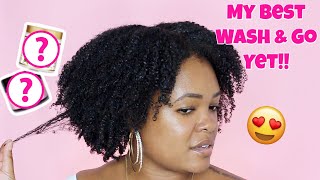 This Wash & Go Combo Is AMAZING!! |Type 4 Natural Hair