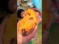 Freshly Picked Pepino Melons: Nature’s Hidden Treasure 🍈
