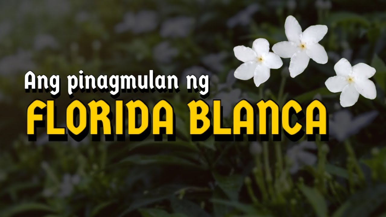 KASAYSAYAN NG FLORIDABLANCA, PAMPANGA