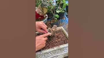 Băng keo nhôm bạc bịt vết cắt giúp bo sẹo rất nhanh