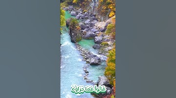 سورة يوسف و،،كا؛نك تسمعها لأ.و..ل مر.ة 💘🌸💮؛؛🌻💛💟؛❤️بصوت الشيخ حمزة مد بو.ح🌼💕؛،💚..🌷🌺؛،💔💘