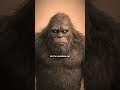 Why you never wander alone in Sasquatch country... #podcastclips #bigfoot #creepy #scarystories