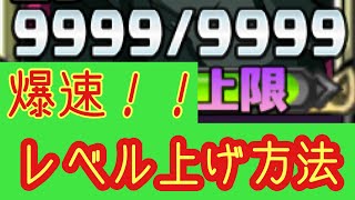 【ディスガイアRPG】最高EXP倍率育成検証！！（錬金はなし）