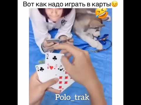 Вот как надо играть в карты русский покер играть онлайн по