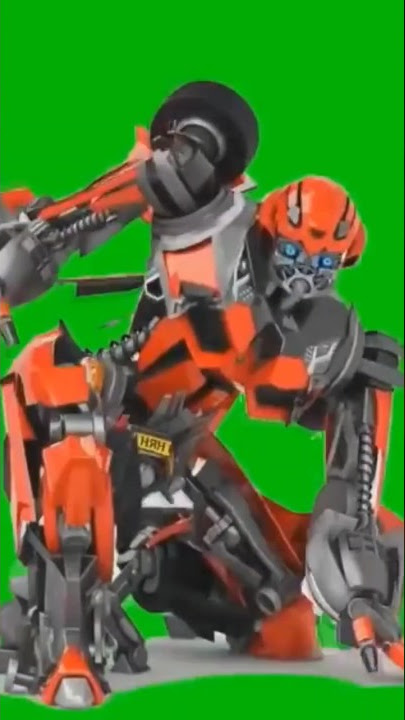 Orange Bumblebee Green Screen VFX studio