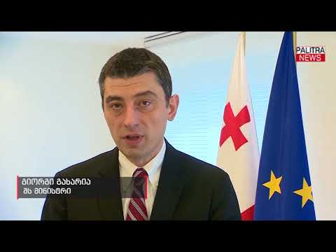 მთავრობა ზომებს ამკაცრებს - უვიზო მიმოსვლის რეჟიმის დარღვევისთვის სანქციები ამოქმედდება